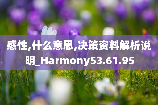 感性,什么意思,决策资料解析说明_Harmony53.61.95