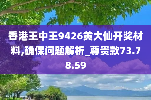 香港王中王9426黄大仙开奖材料,确保问题解析_尊贵款73.78.59