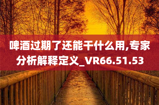 啤酒过期了还能干什么用,专家分析解释定义_VR66.51.53