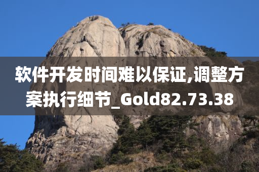 软件开发时间难以保证,调整方案执行细节_Gold82.73.38