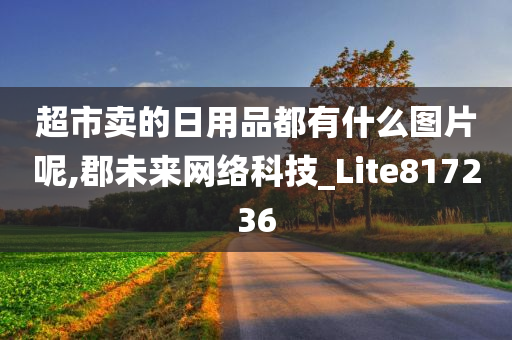 超市卖的日用品都有什么图片呢,郡未来网络科技_Lite817236