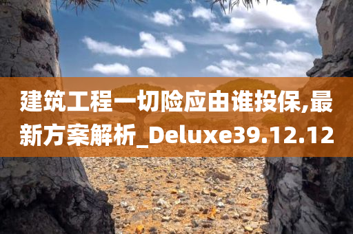 建筑工程一切险应由谁投保,最新方案解析_Deluxe39.12.12