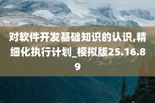 对软件开发基础知识的认识,精细化执行计划_模拟版25.16.89