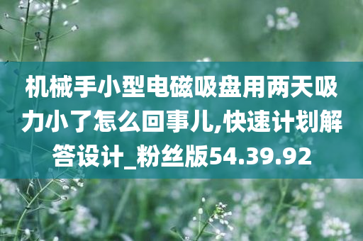 机械手小型电磁吸盘用两天吸力小了怎么回事儿,快速计划解答设计_粉丝版54.39.92