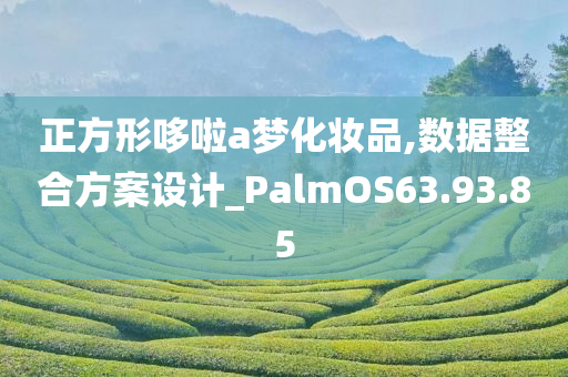 正方形哆啦a梦化妆品,数据整合方案设计_PalmOS63.93.85