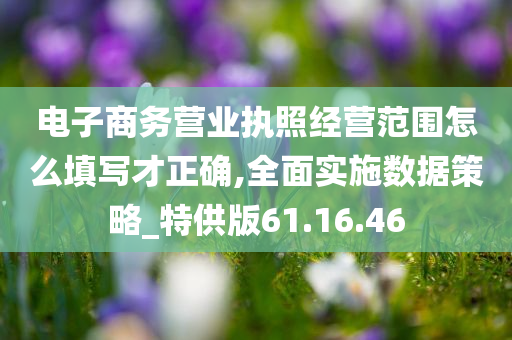 电子商务营业执照经营范围怎么填写才正确,全面实施数据策略_特供版61.16.46