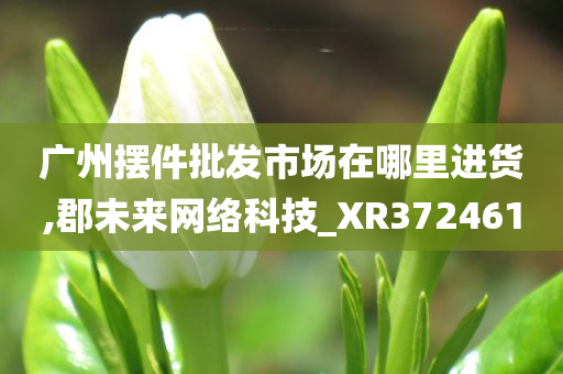 广州摆件批发市场在哪里进货,郡未来网络科技_XR372461