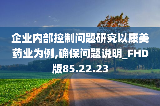 企业内部控制问题研究以康美药业为例,确保问题说明_FHD版85.22.23