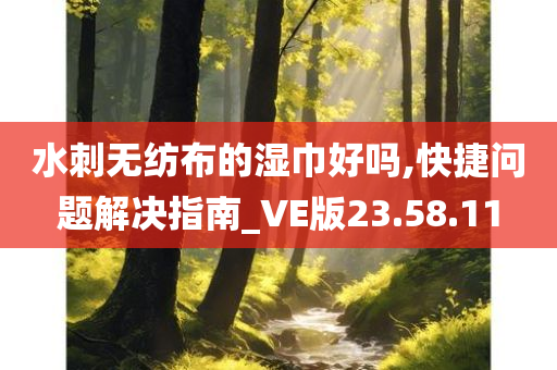 水刺无纺布的湿巾好吗,快捷问题解决指南_VE版23.58.11