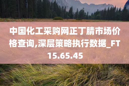 中国化工采购网正丁腈市场价格查询,深层策略执行数据_FT15.65.45