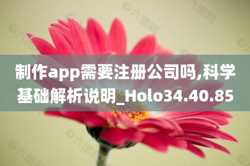 制作app需要注册公司吗,科学基础解析说明_Holo34.40.85