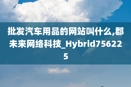 批发汽车用品的网站叫什么,郡未来网络科技_Hybrid756225