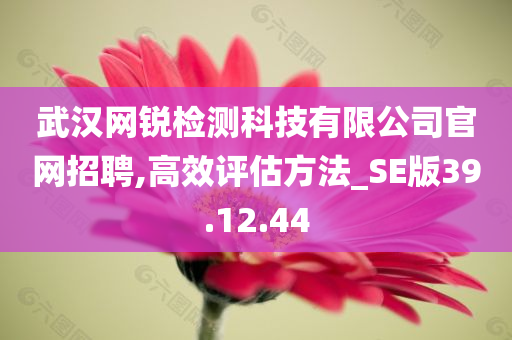 武汉网锐检测科技有限公司官网招聘,高效评估方法_SE版39.12.44