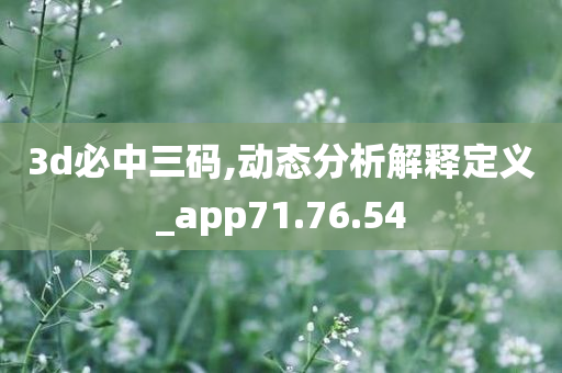 3d必中三码,动态分析解释定义_app71.76.54