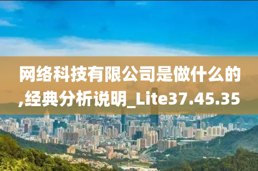 网络科技有限公司是做什么的,经典分析说明_Lite37.45.35