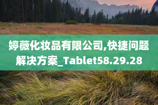 婷薇化妆品有限公司,快捷问题解决方案_Tablet58.29.28