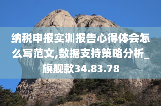 纳税申报实训报告心得体会怎么写范文,数据支持策略分析_旗舰款34.83.78