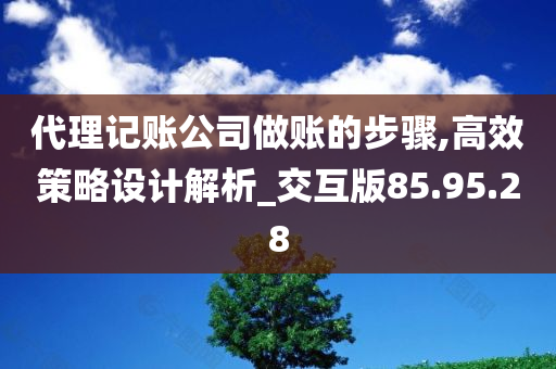 代理记账公司做账的步骤,高效策略设计解析_交互版85.95.28