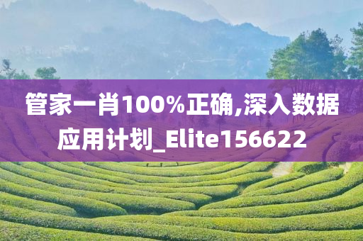 管家一肖100%正确,深入数据应用计划_Elite156622