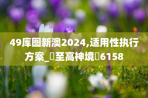 49库图新澳2024,适用性执行方案_‌至高神境‌6158