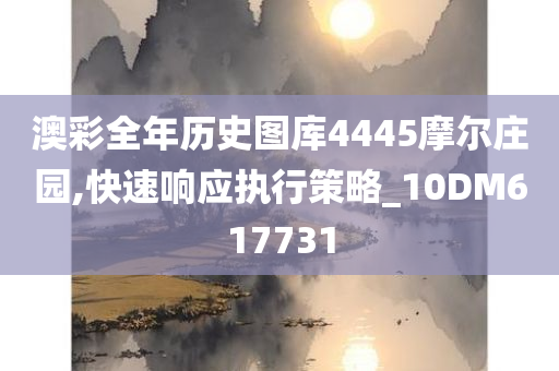 澳彩全年历史图库4445摩尔庄园,快速响应执行策略_10DM617731