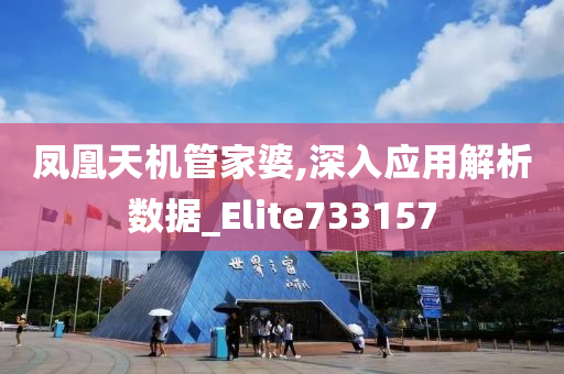 凤凰天机管家婆,深入应用解析数据_Elite733157