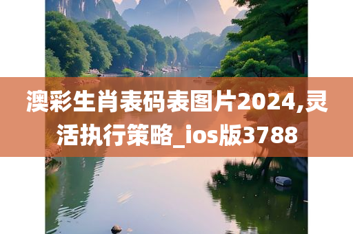 澳彩生肖表码表图片2024,灵活执行策略_ios版3788