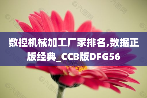 数控机械加工厂家排名,数据正版经典_CCB版DFG56