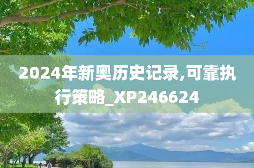 2024年新奥历史记录,可靠执行策略_XP246624