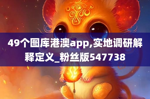 49个图库港澳app,实地调研解释定义_粉丝版547738