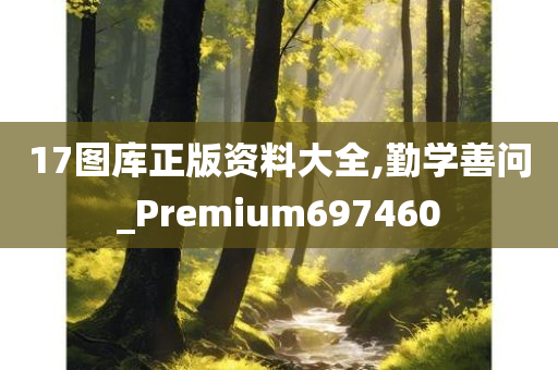 17图库正版资料大全,勤学善问_Premium697460