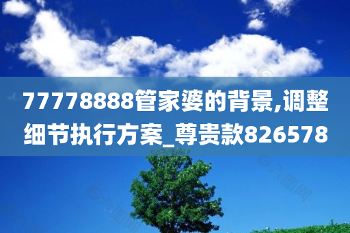 77778888管家婆的背景,调整细节执行方案_尊贵款826578