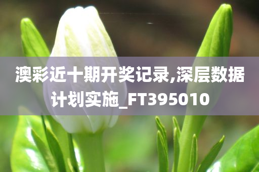 澳彩近十期开奖记录,深层数据计划实施_FT395010