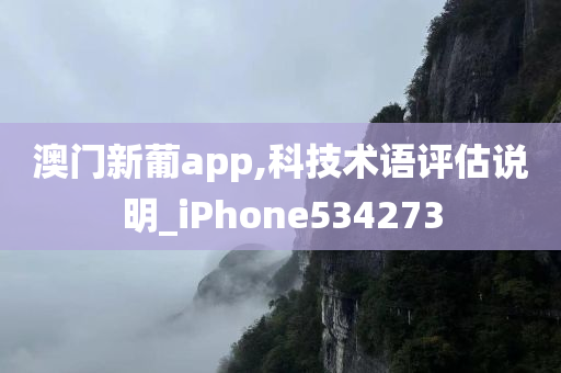 澳门新葡app,科技术语评估说明_iPhone534273