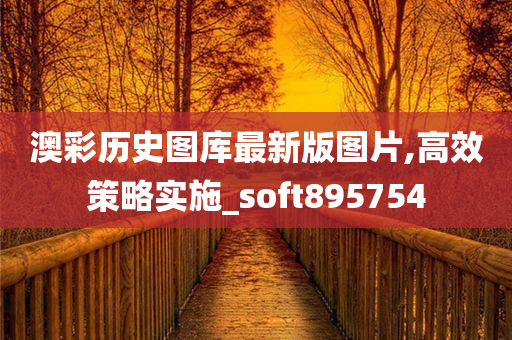 澳彩历史图库最新版图片,高效策略实施_soft895754