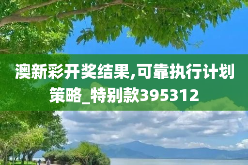 澳新彩开奖结果,可靠执行计划策略_特别款395312