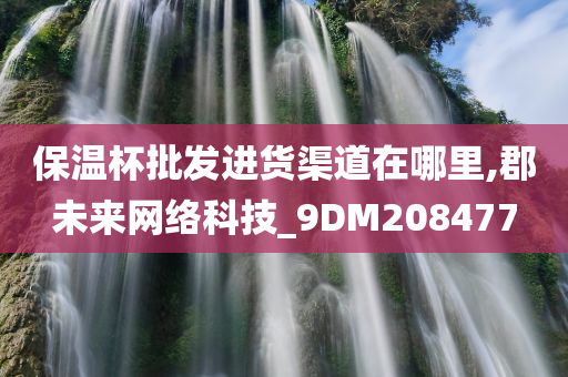 保温杯批发进货渠道在哪里,郡未来网络科技_9DM208477