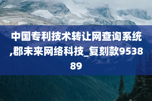 中国专利技术转让网查询系统,郡未来网络科技_复刻款953889