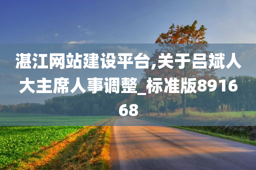 湛江网站建设平台,关于吕斌人大主席人事调整_标准版891668