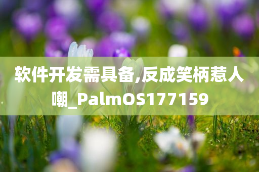 软件开发需具备,反成笑柄惹人嘲_PalmOS177159