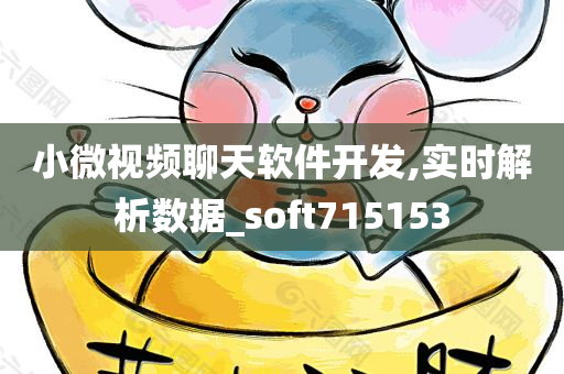 小微视频聊天软件开发,实时解析数据_soft715153