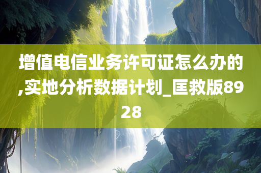 增值电信业务许可证怎么办的,实地分析数据计划_匡救版8928