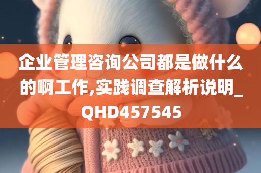 企业管理咨询公司都是做什么的啊工作,实践调查解析说明_QHD457545