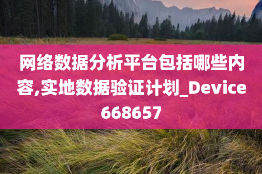 网络数据分析平台包括哪些内容,实地数据验证计划_Device668657