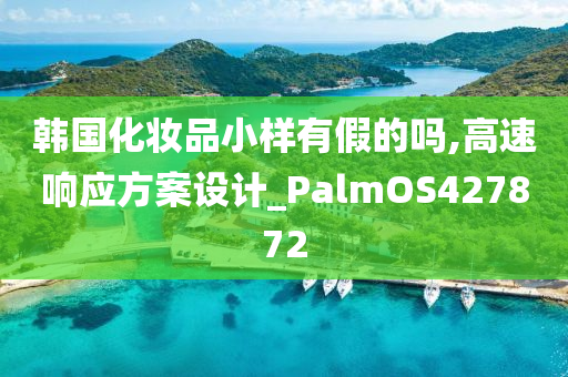 韩国化妆品小样有假的吗,高速响应方案设计_PalmOS427872