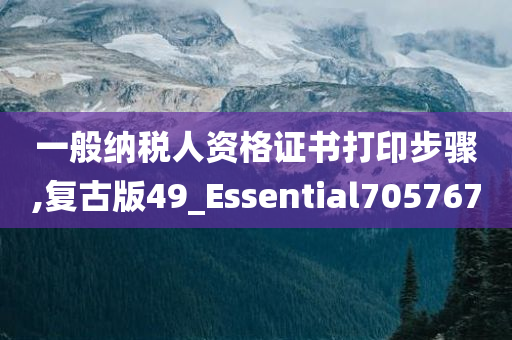 一般纳税人资格证书打印步骤,复古版49_Essential705767