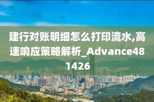 建行对账明细怎么打印流水,高速响应策略解析_Advance481426