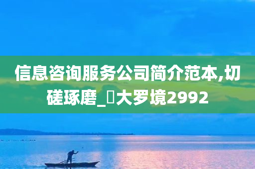 信息咨询服务公司简介范本,切磋琢磨_‌大罗境2992