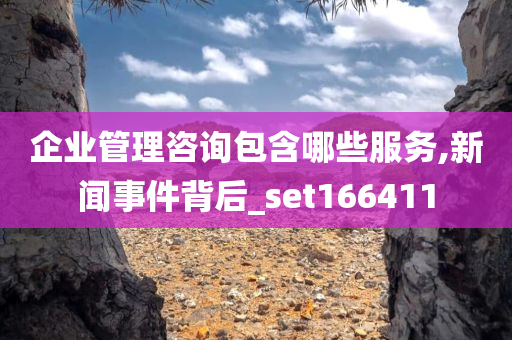 企业管理咨询包含哪些服务,新闻事件背后_set166411