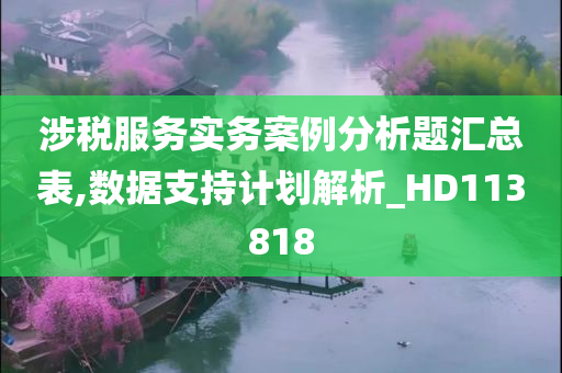 涉税服务实务案例分析题汇总表,数据支持计划解析_HD113818